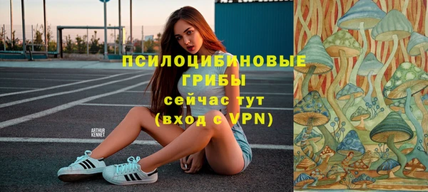 СК Няндома