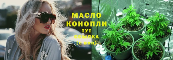 СК Няндома