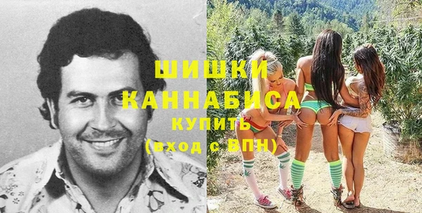 СК Няндома