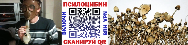 Псилоцибиновые грибы мухоморы закладка Старый Крым