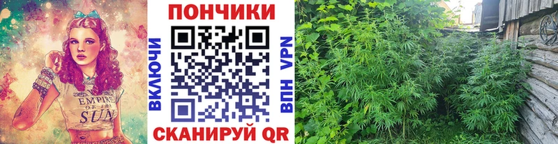 наркотики  Старый Крым  Шишки марихуана LSD WEED 
